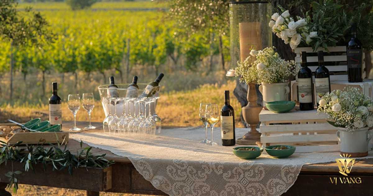 Tìm hiểu vùng Puglia và rượu vang Puglia