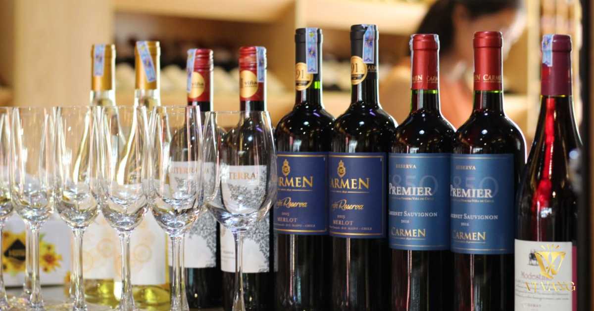 Tìm hiểu về rượu vang Carmen